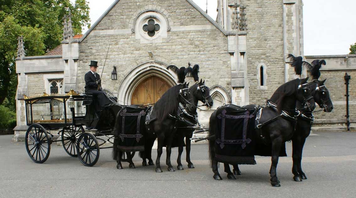 Horse Drawn Hearse pulled by a team of Belgium Blacks
